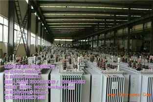 南京變壓器集團——卓越技術(shù)服務(wù)，共創(chuàng)能源未來